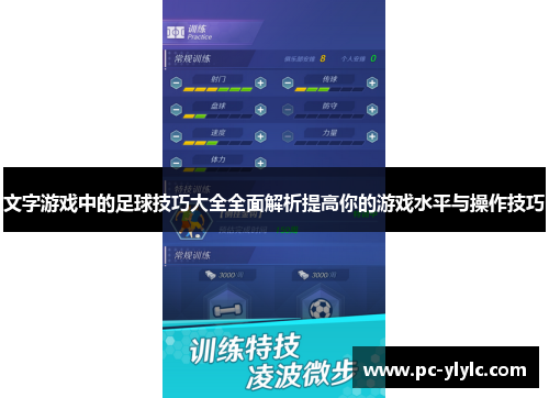 文字游戏中的足球技巧大全全面解析提高你的游戏水平与操作技巧